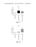 METHOD FOR TREATING A PATIENT HAVING A SPINAL CORD INJURY USING     PHOTOTHERAPY diagram and image