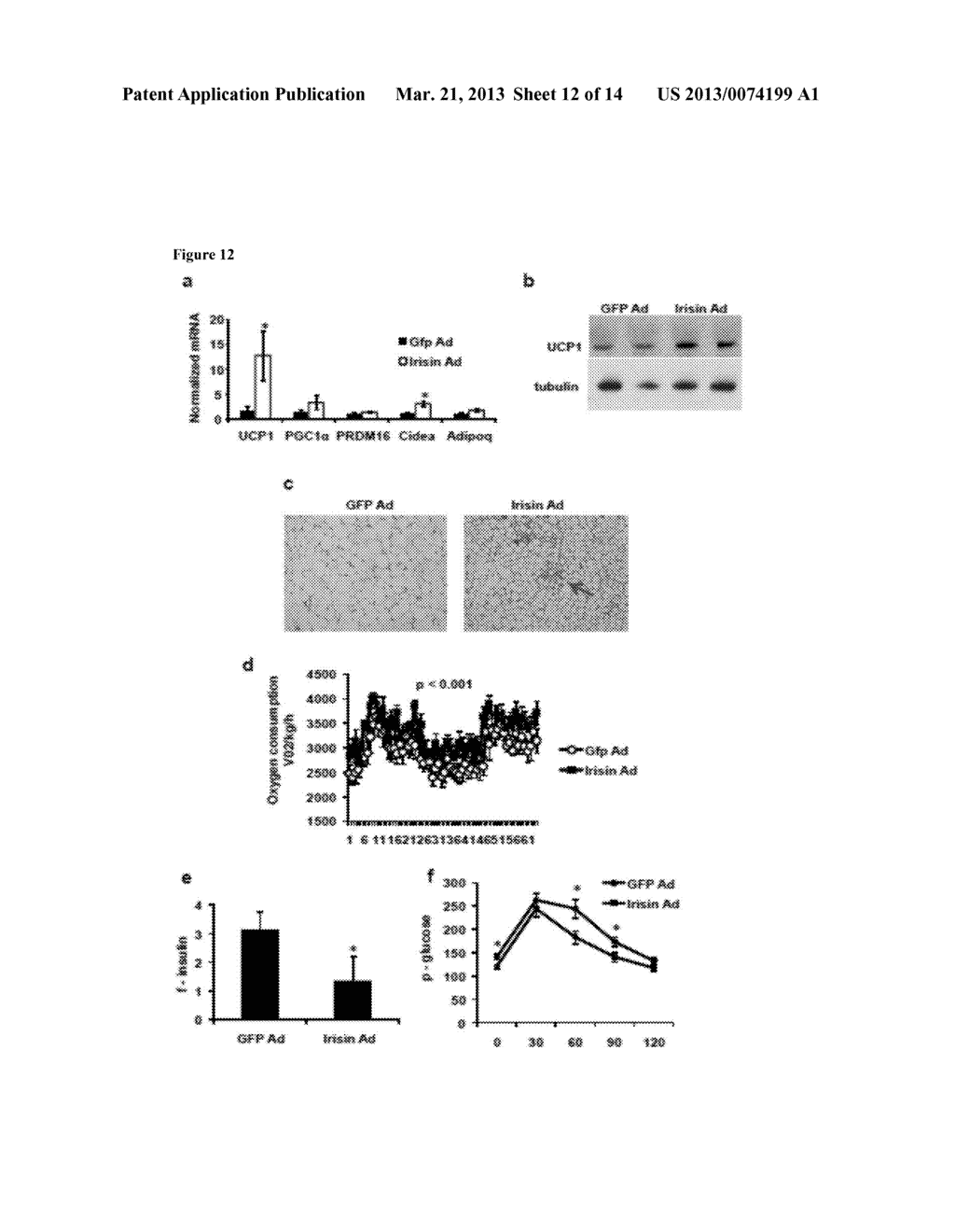 Compositions and Methods for Brown Fat Induction and Activity Using FNDC5 - diagram, schematic, and image 13