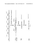 CANCER-SPECIFIC GENETIC REARRANGEMENTS diagram and image