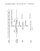 CANCER-SPECIFIC GENETIC REARRANGEMENTS diagram and image