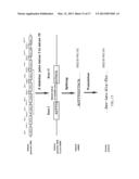 CANCER-SPECIFIC GENETIC REARRANGEMENTS diagram and image