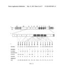 CANCER-SPECIFIC GENETIC REARRANGEMENTS diagram and image