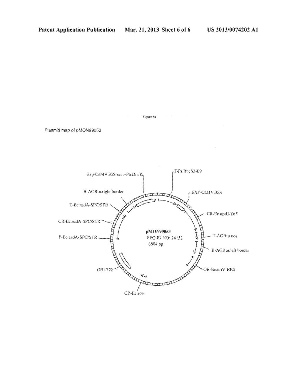 GENE SEQUENCES AND USES THEREOF IN PLANTS - diagram, schematic, and image 07