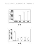 TOMATO CATECHOL-O-METHYLTRANSFERASE SEQUENCES AND METHODS OF USE diagram and image