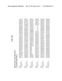 TOMATO CATECHOL-O-METHYLTRANSFERASE SEQUENCES AND METHODS OF USE diagram and image