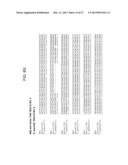 TOMATO CATECHOL-O-METHYLTRANSFERASE SEQUENCES AND METHODS OF USE diagram and image