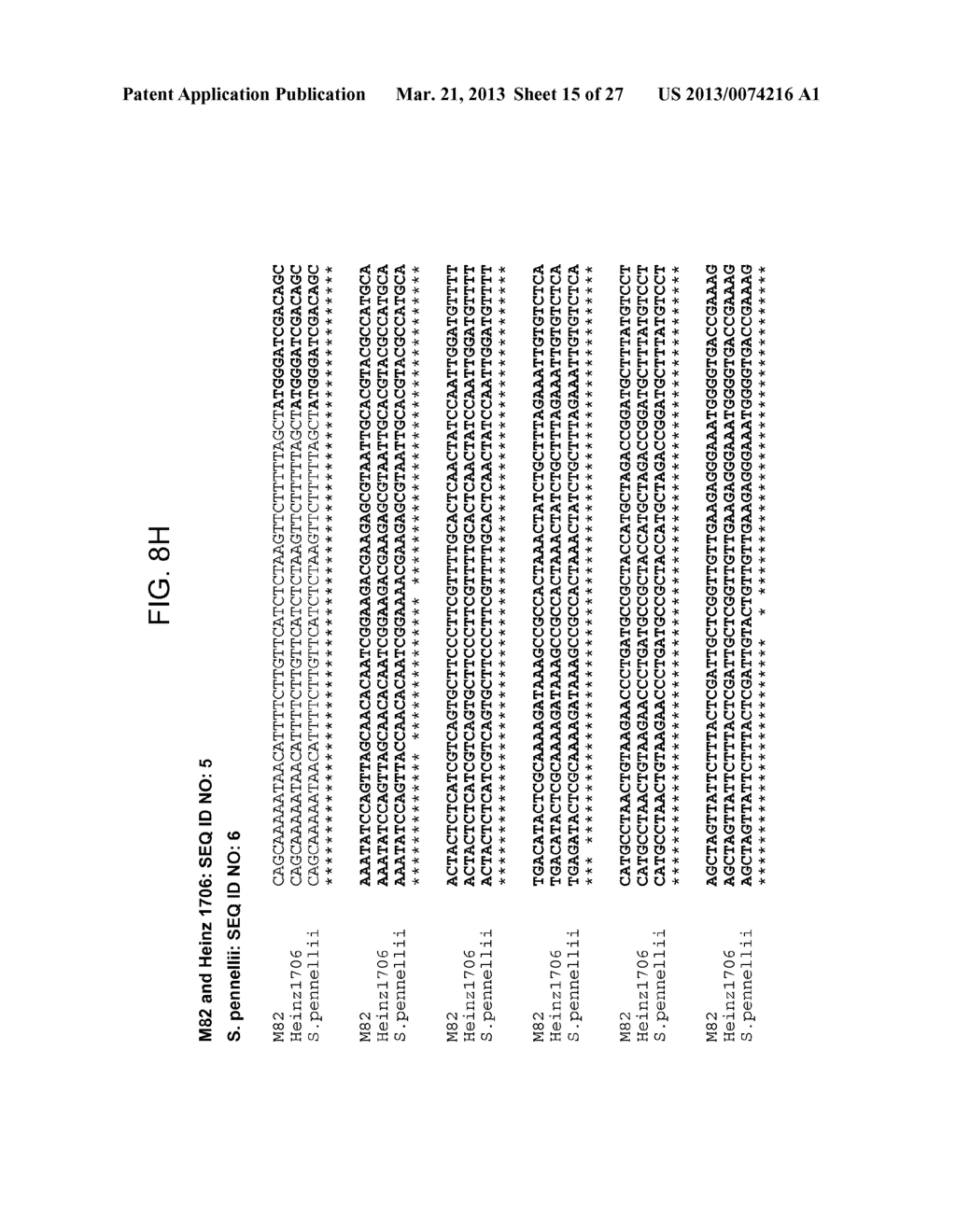 TOMATO CATECHOL-O-METHYLTRANSFERASE SEQUENCES AND METHODS OF USE - diagram, schematic, and image 16