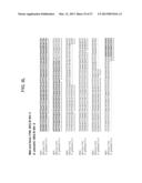 TOMATO CATECHOL-O-METHYLTRANSFERASE SEQUENCES AND METHODS OF USE diagram and image