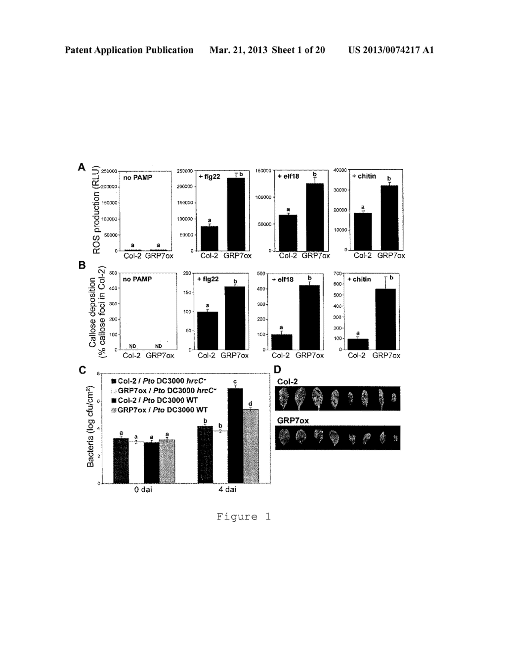 TRANSGENIC SOYBEAN PLANTS EXHIBITING IMPROVED INNATE IMMUNITY - diagram, schematic, and image 02