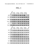 PROMOTERS AND METHODS THEREOF diagram and image