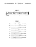 PROMOTERS AND METHODS THEREOF diagram and image