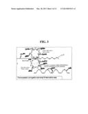 Multilayered Cellular Metallic Glass Structures and Methods of Preparing     the Same diagram and image