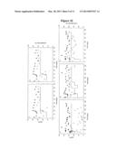 REACTOR SETUP diagram and image