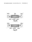 DOUBLE GATE TRANSISTOR AND METHOD OF FABRICATING THE SAME diagram and image