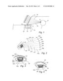 EYE CLOSURE DETECTION USING STRUCTURED ILLUMINATION diagram and image