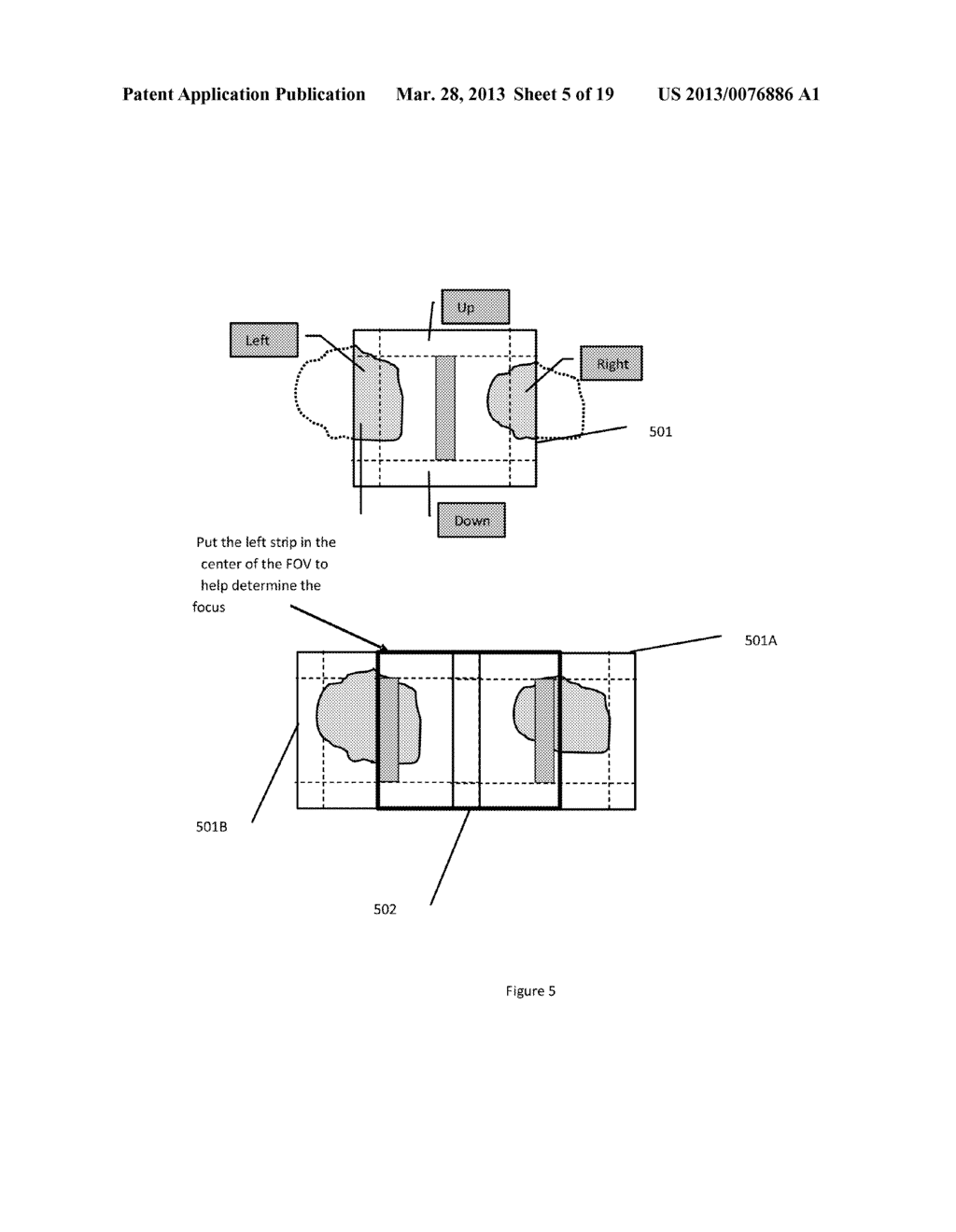 Automatic Focus and Sample Detection - diagram, schematic, and image 06