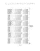 Method and Apparatus For Mapping Multi-Standard IQ Data Based on CPRI diagram and image