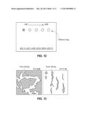 DEVELOPING DEVICE AND IMAGE FORMING APPARATUS diagram and image