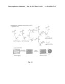 Layered Solid Sorbents For Carbon Dioxide Capture diagram and image