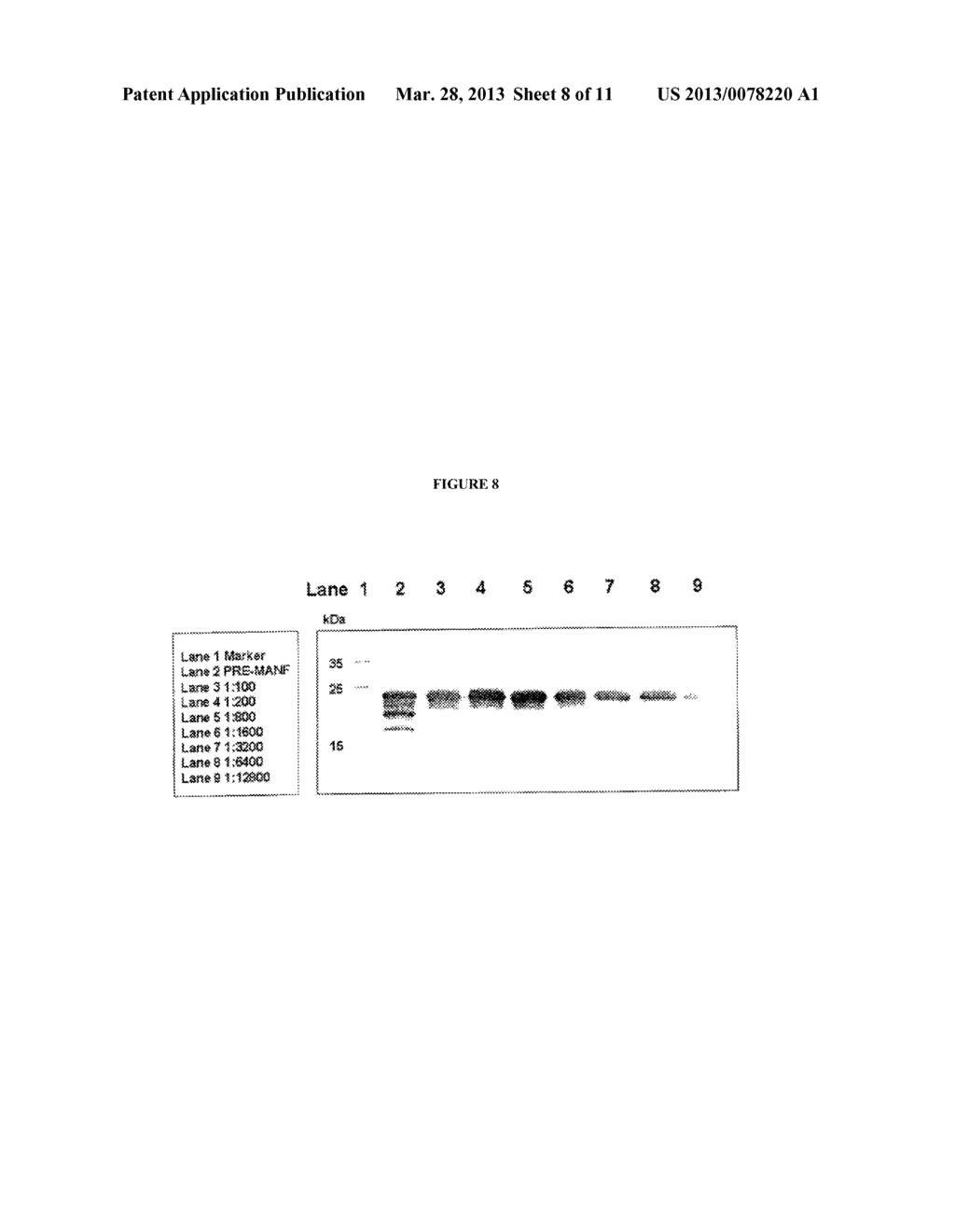 DOPAMINERGIC NEURONAL SURVIVAL-PROMOTING FACTORS AND USES THEREOF - diagram, schematic, and image 09