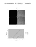 MULTIPOTENT ADULT STEM CELL DERIVED FROM CANINE UMBILICAL CORD BLOOD,     PLACENTA AND CANINE FETUS HEART, METHOD FOR PREPARING THE SAME AND     CELLULAR THERAPEUTICS CONTAINING THE SAME diagram and image