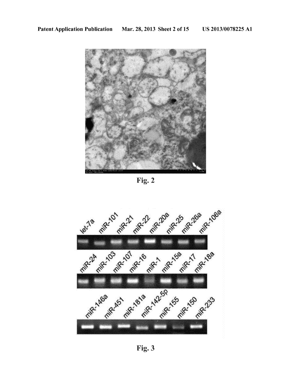 Method for Modulating MicroRNA Content in Living Beings and the Use     Thereof - diagram, schematic, and image 03