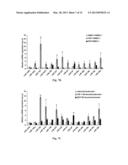 Method for Modulating MicroRNA Content in Living Beings and the Use     Thereof diagram and image