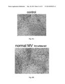 Method for Modulating MicroRNA Content in Living Beings and the Use     Thereof diagram and image