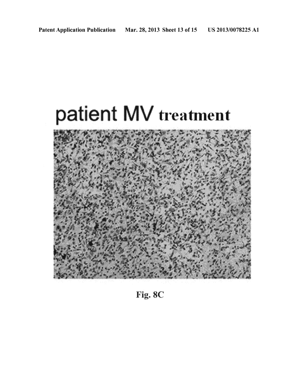 Method for Modulating MicroRNA Content in Living Beings and the Use     Thereof - diagram, schematic, and image 14