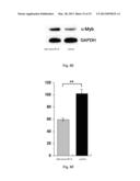 Method for Modulating MicroRNA Content in Living Beings and the Use     Thereof diagram and image