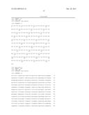 ANTI B7-H3 ANTIBODY diagram and image