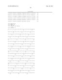 ANTI B7-H3 ANTIBODY diagram and image