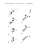 BISPECIFIC T CELL ACTIVATING ANTIGEN BINDING MOLECULES diagram and image