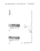 BISPECIFIC T CELL ACTIVATING ANTIGEN BINDING MOLECULES diagram and image