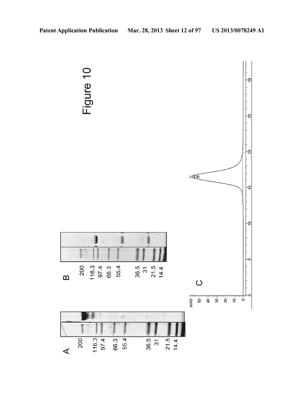 BISPECIFIC T CELL ACTIVATING ANTIGEN BINDING MOLECULES - diagram, schematic, and image 13