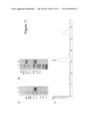 BISPECIFIC T CELL ACTIVATING ANTIGEN BINDING MOLECULES diagram and image