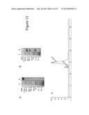 BISPECIFIC T CELL ACTIVATING ANTIGEN BINDING MOLECULES diagram and image