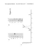 BISPECIFIC T CELL ACTIVATING ANTIGEN BINDING MOLECULES diagram and image