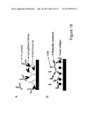 BISPECIFIC T CELL ACTIVATING ANTIGEN BINDING MOLECULES diagram and image