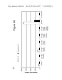 BISPECIFIC T CELL ACTIVATING ANTIGEN BINDING MOLECULES diagram and image