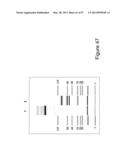 BISPECIFIC T CELL ACTIVATING ANTIGEN BINDING MOLECULES diagram and image