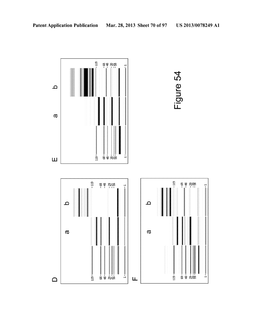 BISPECIFIC T CELL ACTIVATING ANTIGEN BINDING MOLECULES - diagram, schematic, and image 71