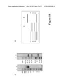 BISPECIFIC T CELL ACTIVATING ANTIGEN BINDING MOLECULES diagram and image