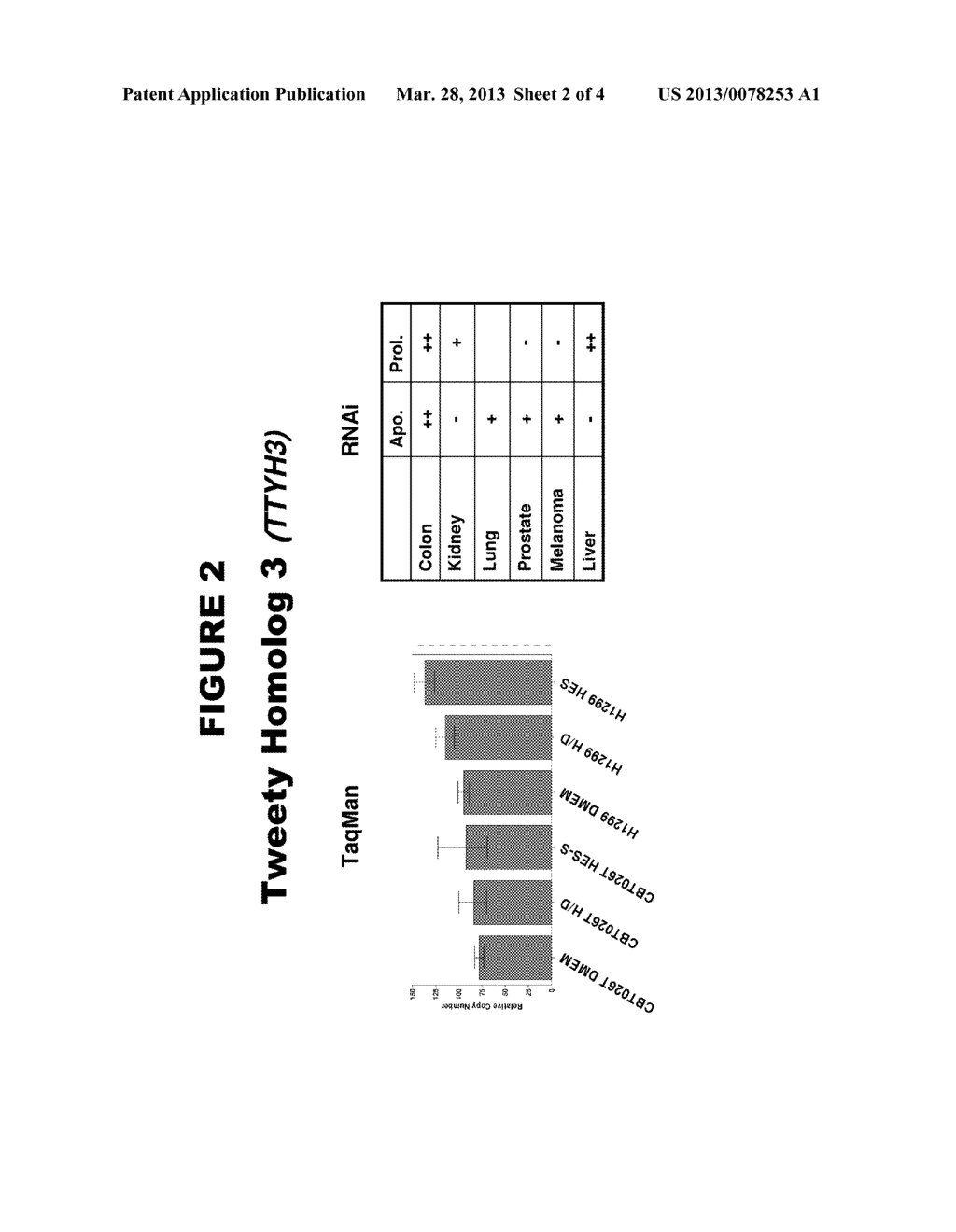 CANCER TARGETS AND USES THEREOF - diagram, schematic, and image 03