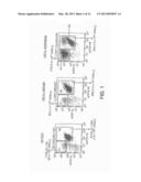 USE OF AN ACTIVE SUBSTANCE BINDING TO CD28 FOR PRODUCING A PHARMACEUTICAL     COMPOSITION FOR THE TREATMENT OF B-CLL diagram and image