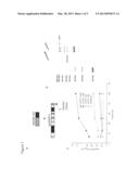 Vault Compositions For Immunization diagram and image