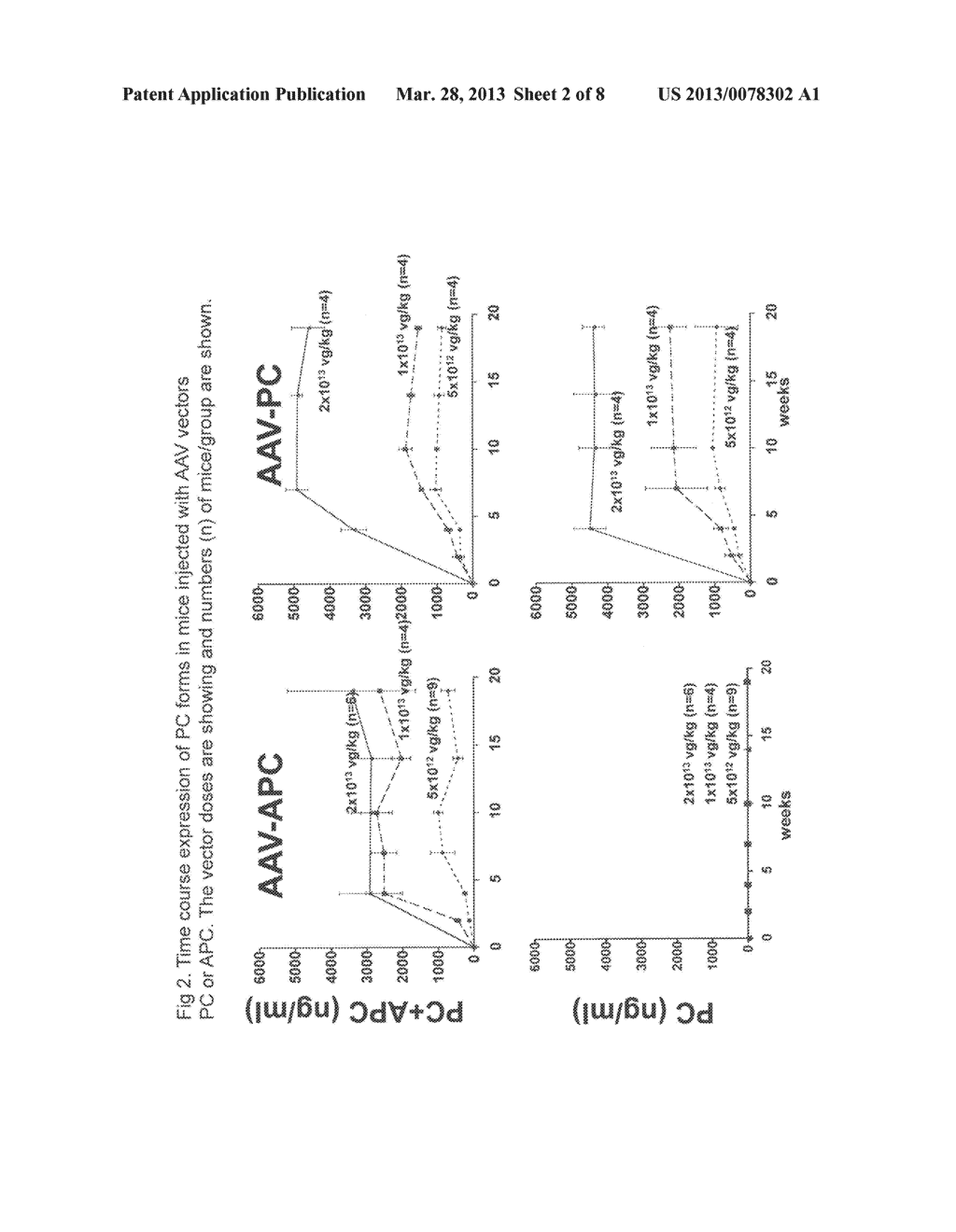 Protein C Zymogen and Methods of Use Thereof to Prevent Cancer Metastases - diagram, schematic, and image 03