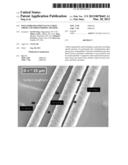 POLYAMIDE/POLYPHENYLENE ETHER FIBERS AND FIBER-FORMING METHOD diagram and image