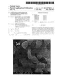 COMPOSITIONS AND METHODS FOR MANUFACTURING A CATHODE FOR A SECONDARY     BATTERY diagram and image