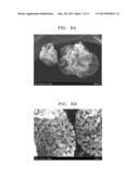 NANO-POROUS NANO-COMPOSITE, METHOD OF PREPARING THE SAME, AND SOLID OXIDE     FUEL CELL INCLUDING THE NANO-POROUS NANO-COMPOSITE diagram and image